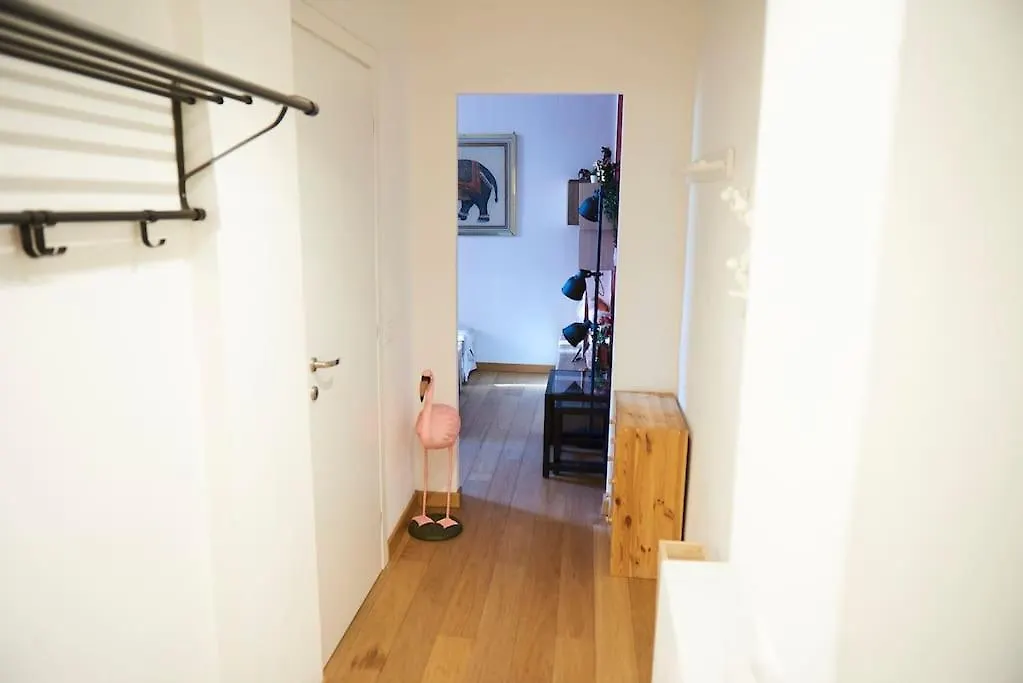 Ampola Home “Flamingo” Milán